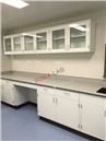 lab storage suspended cabinet