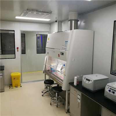 Class Ii Biosafety Cabinet From China