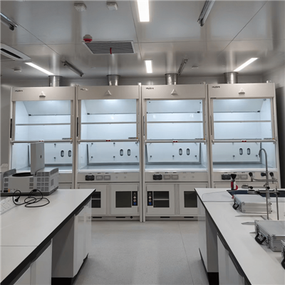 Ducted Fume Cupboard From China