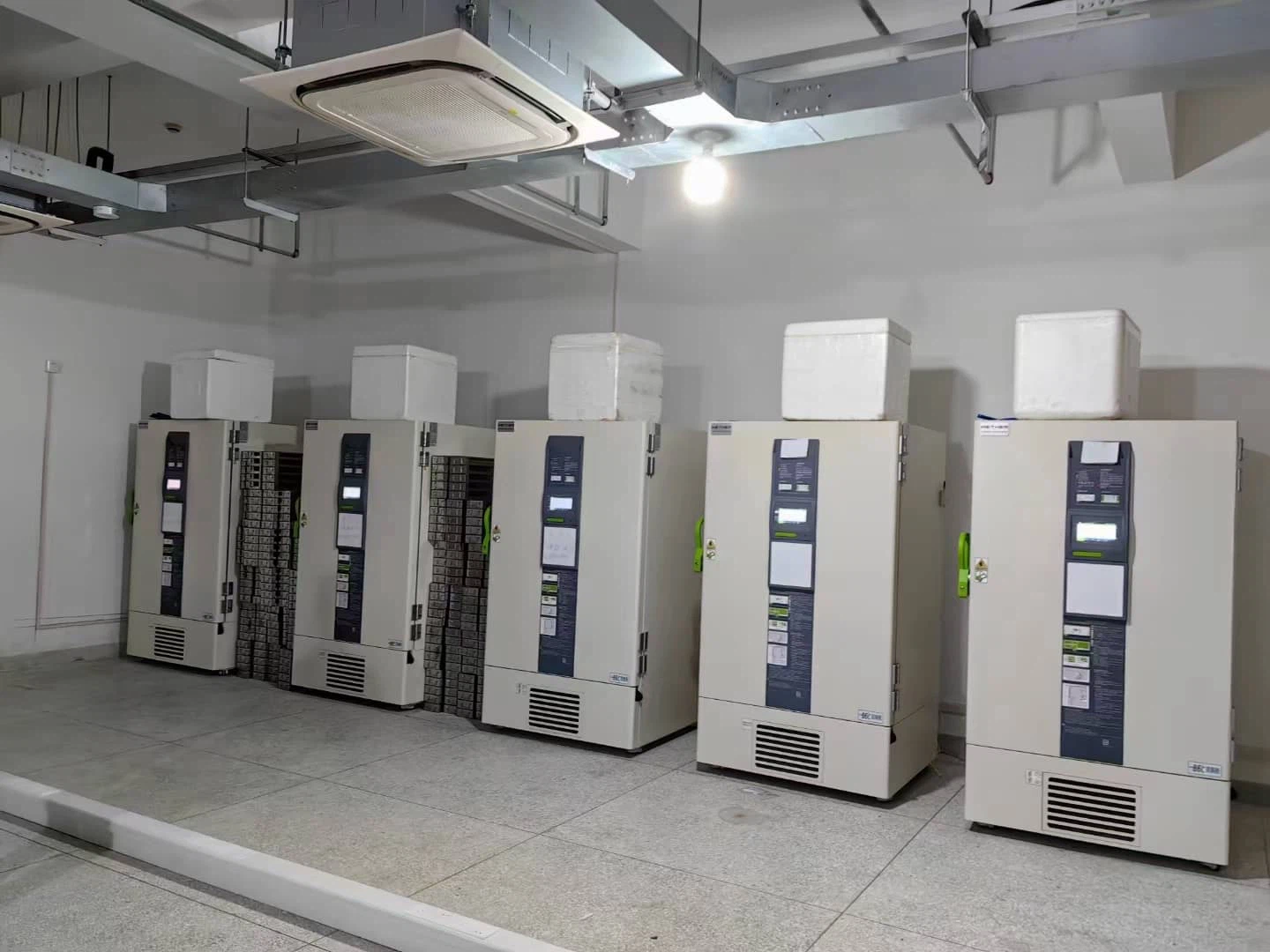 outwwwyalijudacommmexport1691399935942QIfXnl4Oj2 outwwwyalijudacommmexport1691399935942QIfXnl4Oj2