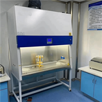 Hign Standard Class Ii Biosafety Cabinet Laminar Flow Biosafety Cabinet
