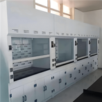 PP Fume Hood